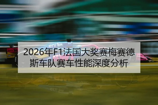 nian-fa-guo-da-jiang-sai-mei-sai-de-si-che-dui-sai-che-xing-neng-shen-du-fen-xi-2-559.jpg
