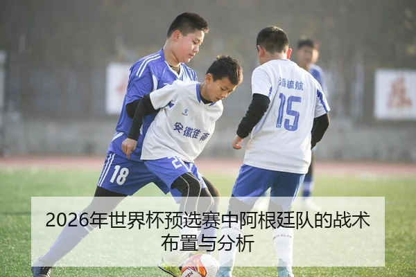 2026年世界杯预选赛中阿根廷队的战术布置与分析