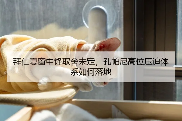 bai-ren-xia-chuang-zhong-feng-qu-she-wei-ding-kong-pa-ni-gao-wei-ya-po-ti-xi-ru-he-luo-di-2-408.jpg