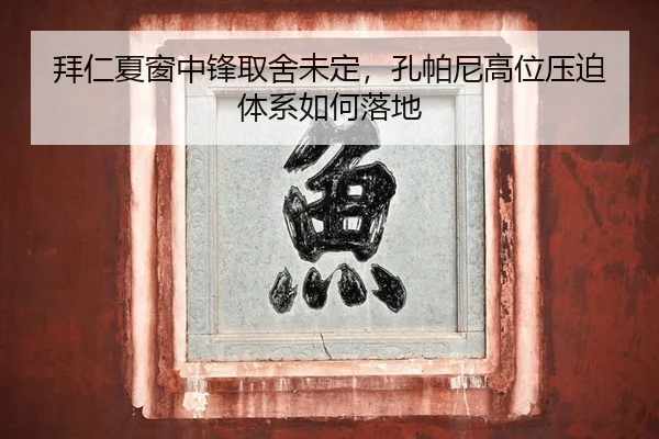 拜仁夏窗中锋取舍未定，孔帕尼高位压迫体系如何落地