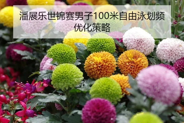 潘展乐世锦赛男子100米自由泳划频优化策略